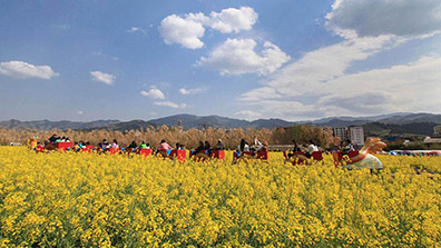 休閑農(nóng)業(yè)觀光園規(guī)劃設(shè)計要兼顧科學(xué)與合理性