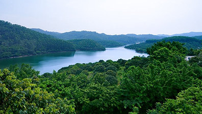 森林公園園林景觀設(shè)計的4點原則