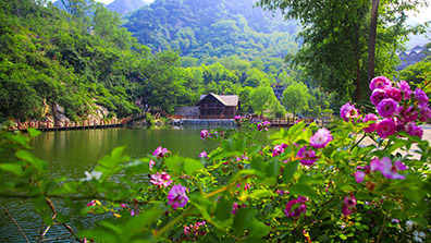 森林公園植物景觀設計的優(yōu)化措施