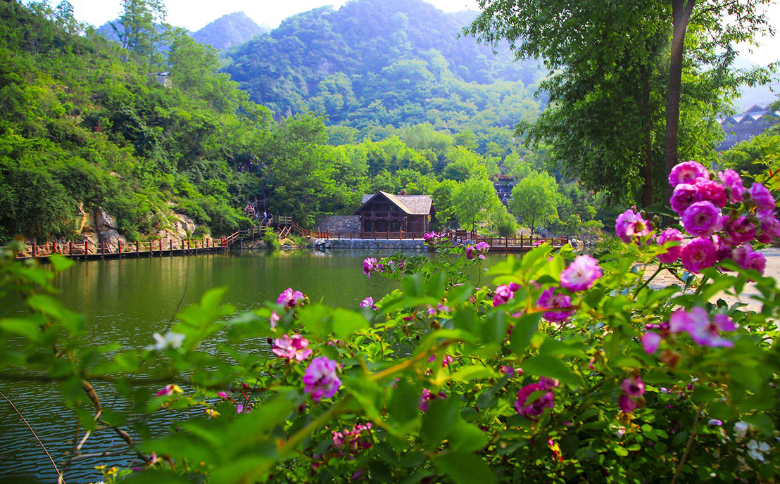 森林公園植物景觀設(shè)計圖片