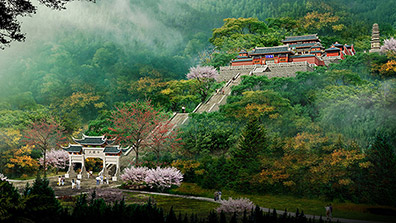 植物造景在園林綠化中應(yīng)用的原則